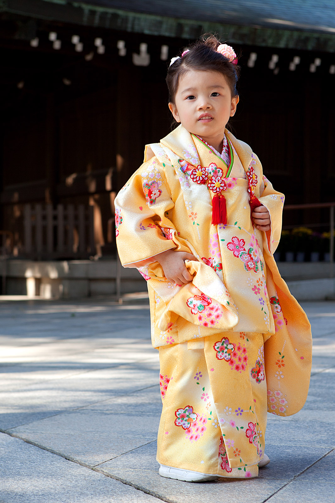 Japan2013 Web IMG 8524