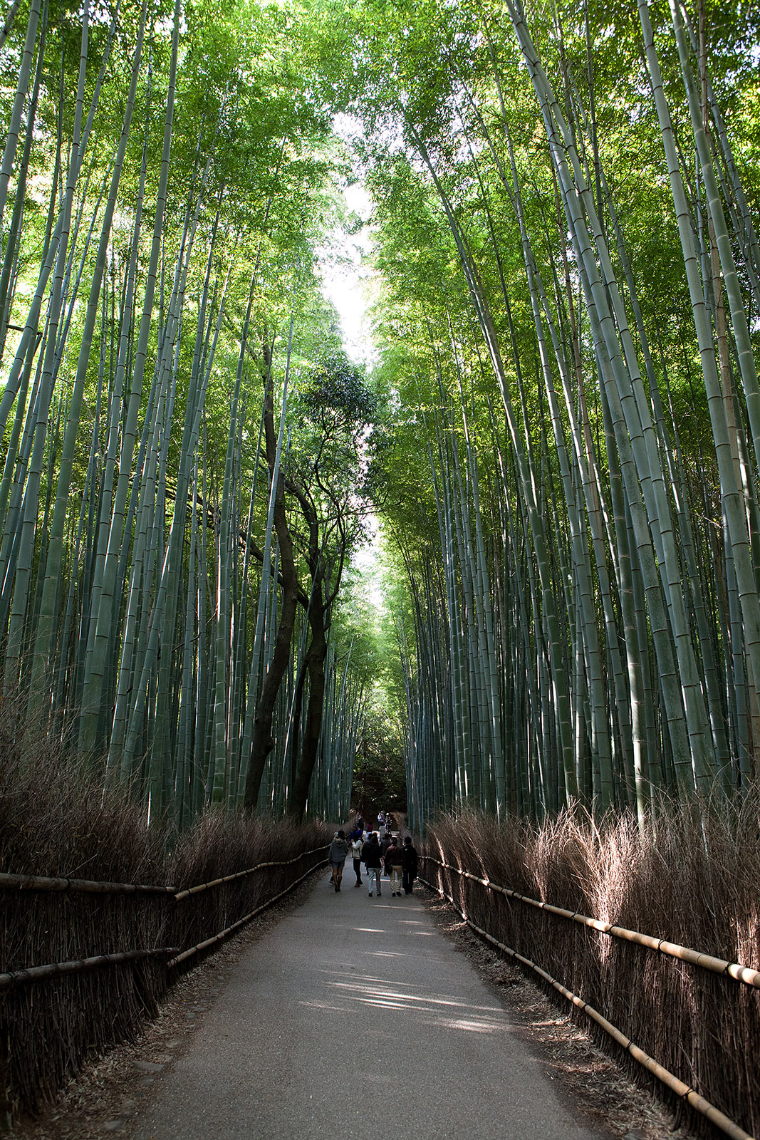 Japan2013 Web IMG 9353