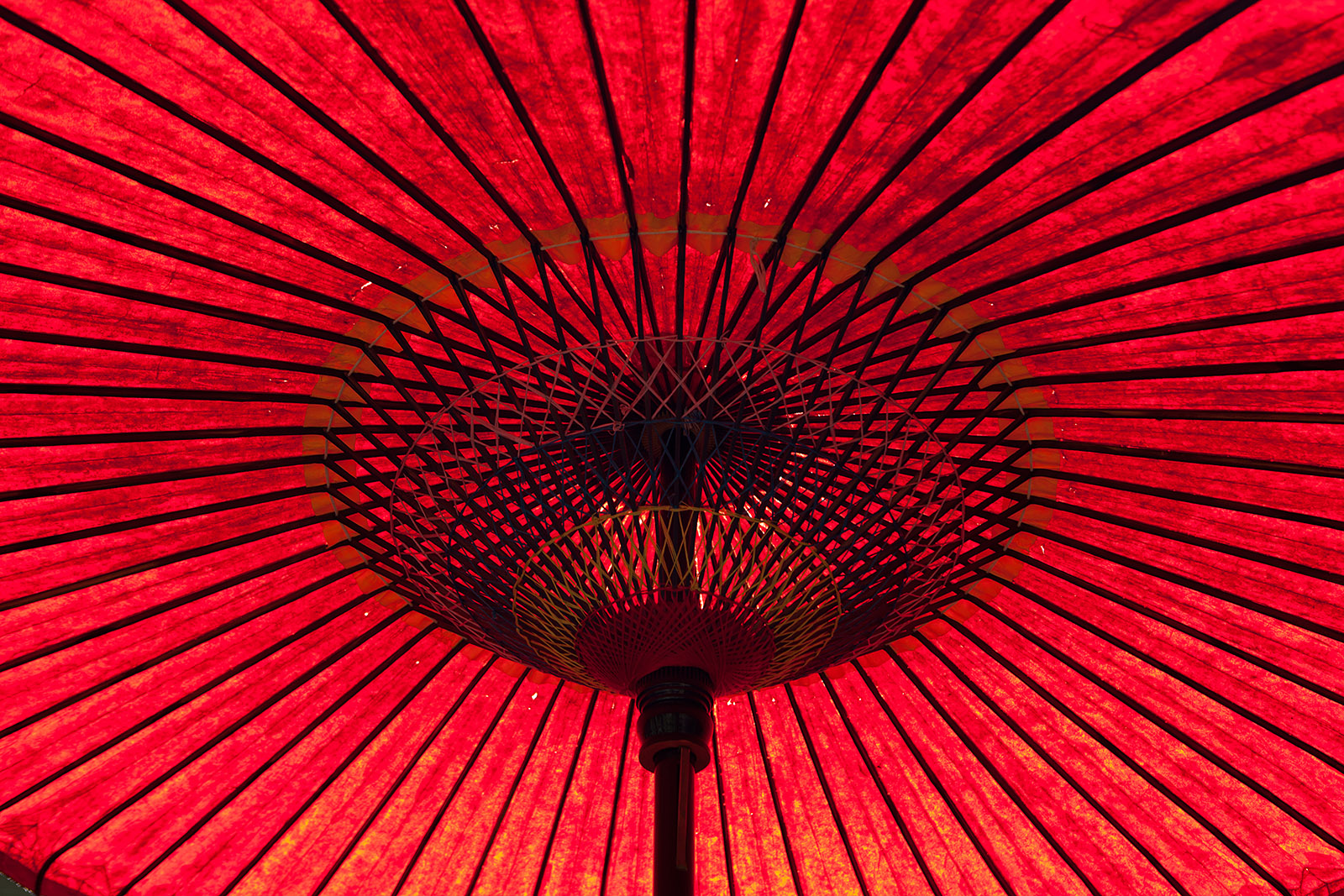 Japan2013 Web IMG 9372