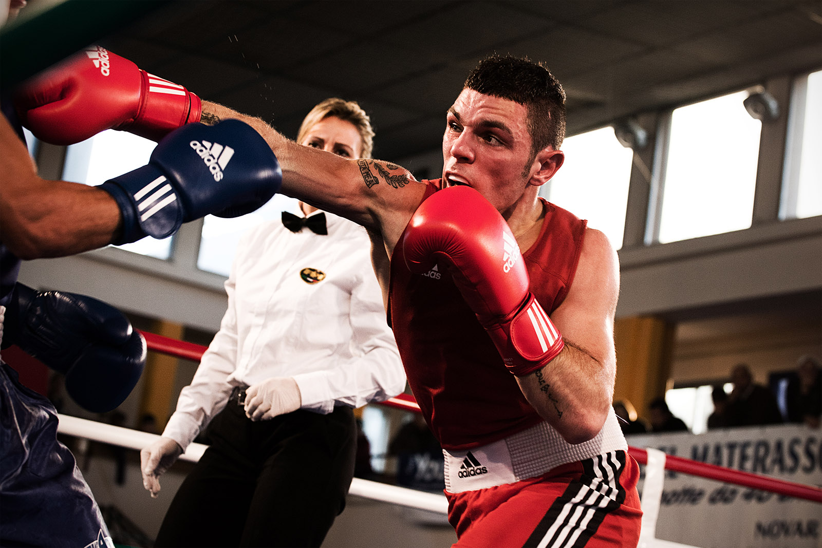 Boxe Campionati 2013 Web IMG 1382