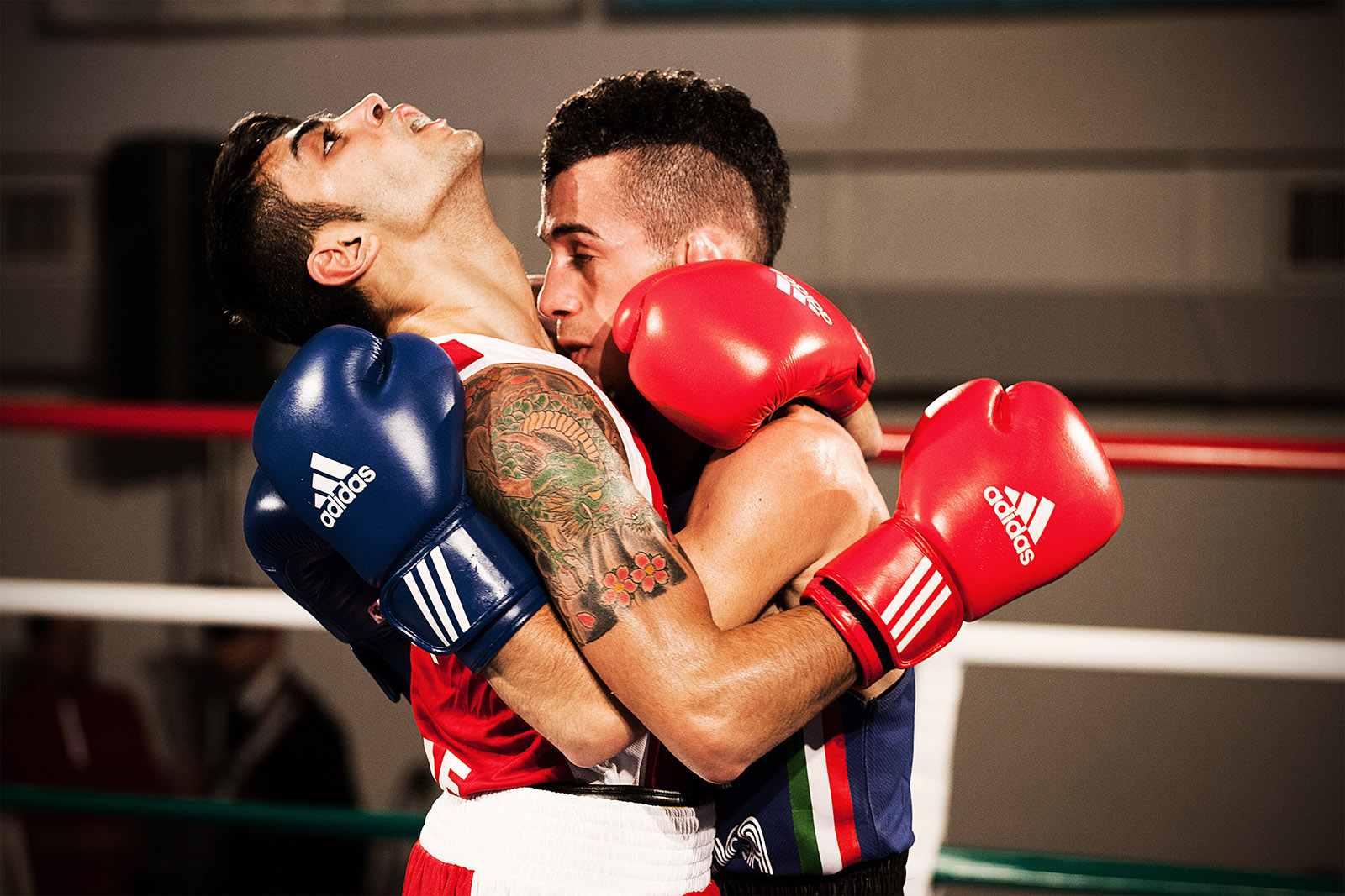 Boxe Campionati 2013 Web IMG 1700